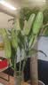 悦多彩AB级优质香水百合 家庭办公室各色生活鲜花 昆明基地 现采直发 随机单色百合10朵（双头5枝） 实拍图