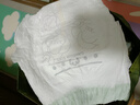 babycare金山茶花拉拉裤XXXXL26片(＞19kg)婴儿尿不湿超薄透气轻柔花苞裤 实拍图