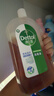 滴露（Dettol）消毒液衣物消毒水1.8L*2 洗衣除菌家居除螨杀菌 灭活HPV16病毒 实拍图
