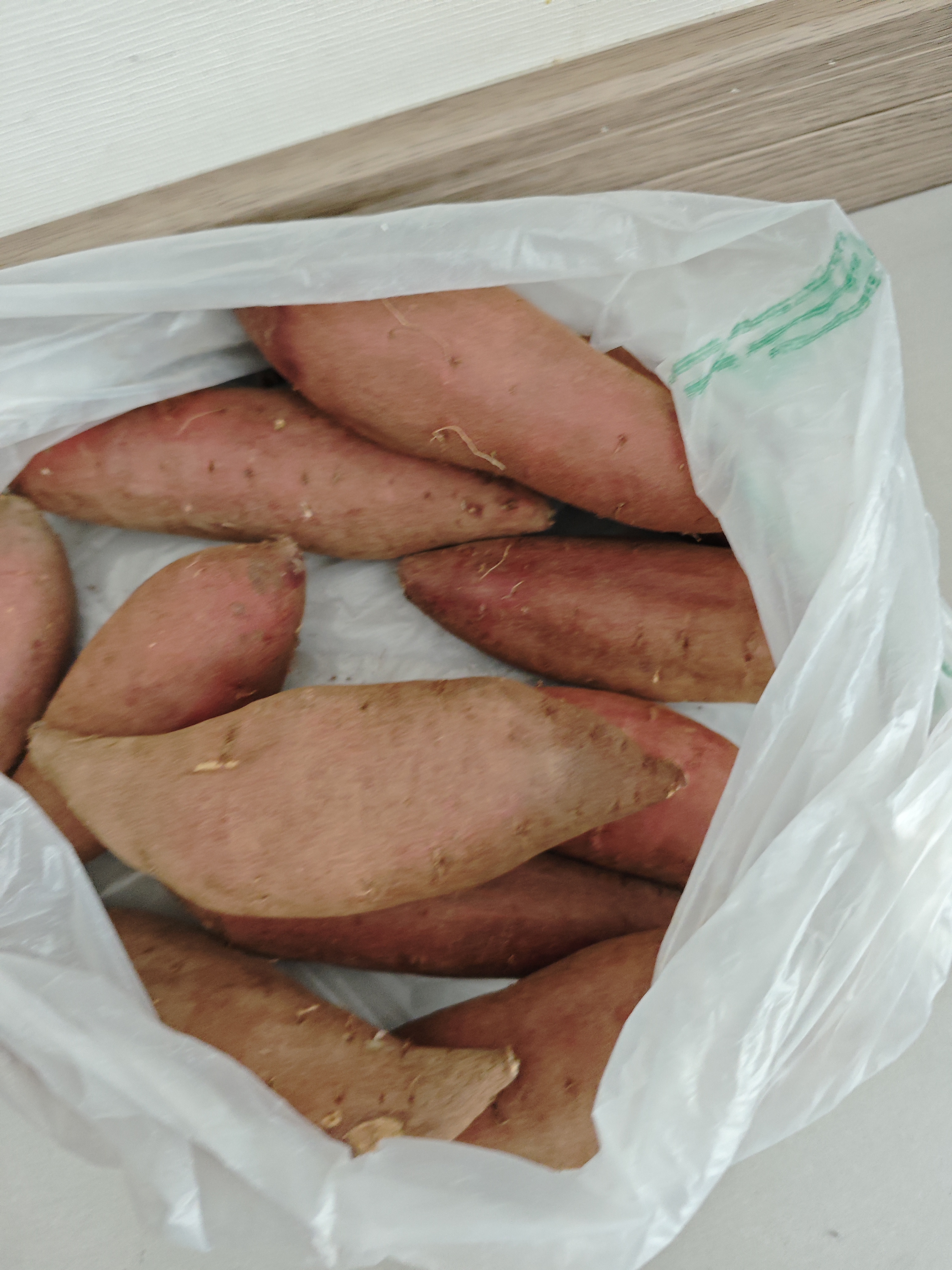 力仕康粘虫板黄板诱虫板20张苍蝇贴灭蚊小飞虫诱捕神器果蝇飞蛾大棚家用 实拍图