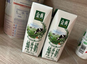 伊利【新鲜日期】金典纯牛奶整箱 200ml*24 3.6g乳蛋白礼盒装 4-5月 实拍图