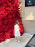 木本尚女童秋装公主裙婴幼儿宝宝连衣裙周岁礼服生日裙子洋气新款 M25X2406 米白色单裙子 90 cm 实拍图
