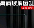 高清热弯浮法透明玻璃鱼缸客厅家用造景装饰生态中小型生态金鱼缸 热弯鱼缸-送礼品 长30*宽18*高20cm 实拍图