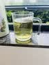 福茗源茉莉花茶 浓香型可冷热泡茶包新茶横县茉莉绿茶独立小泡奶茶80g 实拍图
