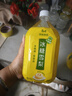 康师傅冰红茶1L*1瓶 柠檬红茶饮料 茉莉清茶茉莉蜜茶 冰糖雪梨1L*1瓶 实拍图