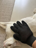 欢宠网撸猫手套梳毛宠物狗狗猫咪洗澡神器狗猫梳子刷子猫毛去浮毛防抓咬 实拍图