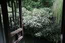 富士（FUJIFILM）X-S20 微单相机 16-50mm套机 AI智能对焦 750张续航增强 全新Vlog模式 高便携高性能 实拍图