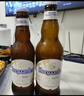 福佳白啤酒 比利时风味精酿啤酒 金奖小麦白啤 派对聚餐 整箱18瓶批发 330mL 18瓶 实拍图