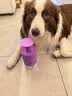 雪貂留香宠物沐浴露 泰迪比熊柴犬萨摩耶专用蓬松柔顺狗狗浴液 边牧专用 实拍图