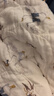babycare新生儿枕头婴儿纱布枕透气宝宝枕头0-6月可机洗咘咘天空浅蓝40*20 实拍图