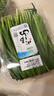 小汤山 韭菜 250g 基地直供新鲜蔬菜GAP认证 实拍图