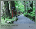松下S9（18-40mm F4.5-6.3）套机 （Panasonic）全画幅微单 实时Lut 滤镜直出 连接app极速分享-橄榄绿 实拍图