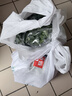 带根香菜100g 实拍图