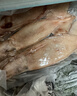 獐子岛 冷冻整只鱿鱼1斤 铁板鱿鱼火锅烧烤食材 海鲜生鲜水产原料 实拍图