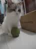 HELLOJOY猫咪10CM超大猫薄荷球玩具猫草自嗨解闷神器磨牙棒洁齿逗猫木天蓼 实拍图