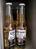 科罗娜（CORONA）海盐番石榴果啤啤酒207ml*24瓶整箱装【新品】京东自营端午送礼 实拍图