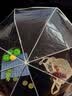 范爷家ins风透明雨伞女自动伞折叠韩系高颜值三折学生磨砂伞网红拍照伞 实拍图