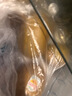 佳沛（zespri）新西兰 金果25-27粒特大单果124-146g 端午礼物水果礼盒 猕猴桃 实拍图