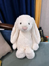 Jellycat害羞乳白色邦尼兔动物毛绒玩偶安抚玩偶娃娃送礼生日礼物 害羞乳白色邦尼兔 Huge 实拍图