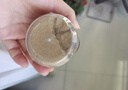 特瑞肯（TRICON）孜然粉配料干净烧烤羊肉串火锅撒料炖肉腌肉牛排炸鸡排调味品35g 实拍图