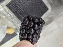怡颗莓Driscoll's怡颗莓 黑莓125g 实拍图