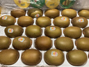 佳沛（zespri）新西兰 金果25-27粒特大单果124-146g 端午礼物水果礼盒 猕猴桃 实拍图