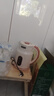 万利达烧水壶电热水壶电水壶便携家用全自动小不锈钢大容量双层防烫自动断电 3L 米白色智能保温 实拍图