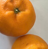 【整箱】四川耙耙柑整箱2.5kg 实拍图