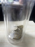 富光双层玻璃杯水杯子茶水分离泡茶杯男女士高颜值团购定制400ML 实拍图