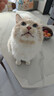 麦富迪 猫条 猫零食成幼猫通用猫咪零食营养猫湿粮 【功能款】多春鱼猫草14g*30 实拍图