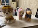 汪汪队立大功（PAW PATROL）毛绒玩具陪睡玩偶经典款小砾中号坐姿公仔男女孩儿童生日礼物 实拍图