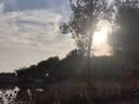 京东京造Wind速干运动短裤男夏季跑步休闲裤子健身训练透气五分裤 黑色L 实拍图