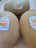 佳沛（zespri）新西兰金果巨大果22粒原箱单果146-175g 端午礼物水果礼盒 猕猴桃 实拍图