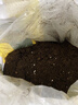 史丹利椰糠砖650g*3 椰土砖椰砖营养土脱盐花土耶砖种菜通用型 实拍图