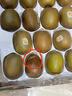 佳沛（zespri）新西兰金果巨大果22粒原箱单果146-175g 端午礼物水果礼盒 猕猴桃 实拍图