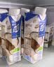 蒙牛【新品尝鲜】真果粒牛奶饮品生榨椰奶含乳饮料利乐梦幻盖300g*2盒 实拍图