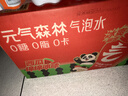 元气森林西瓜绵绵冰味气泡水（汽水）480*15瓶 实拍图
