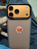 Apple/苹果 iPhone 17 Pro Max 256GB 星宇橙色 支持移动联通电信5G 双卡双待手机 实拍图