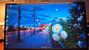 泰坦军团24.5英寸双侧入光屏2K 275Hz DyDs0.5ms HDR500耳机挂架 OSD桌面软件 硬件低蓝光电竞显示器KG257S 实拍图