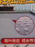 沃特浦防水涂料屋顶补漏王材料耐高温防晒平房外墙楼顶防漏房顶漏水胶 【防晒/耐冻/抗裂】水泥色买54斤送54斤 送工具 实拍图