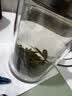 京东京造×浙茶【2026新茶】明前特级西湖龙井50g绿茶茶叶自己喝送礼盒 实拍图