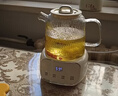 苏泊尔（SUPOR）全玻璃养生壶煮茶壶1L迷你养生杯煮茶器花茶壶 恒温水壶保温烧水调奶器带滤网0胶水SW-10Y03Q 实拍图