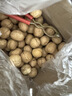舌里原味薄皮核桃3斤装 新疆特产休闲零食坚果炒货送夹子1500g/箱 实拍图