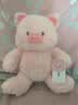 名创优品（MINISO）福莉丝猪系列-乖乖坐姿公仔毛绒玩具玩偶抱枕娃娃生日礼物女 实拍图