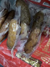 秋林里道斯 中华老字号 哈尔滨红肠580g/袋 量贩装 东北特产 休闲零食 实拍图