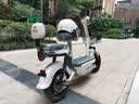 驰小虎电动自行车 吉祥虎新国标电动车电动自行车48V12Ah铅酸电池长续航电瓶车成人代步车电车白色 实拍图