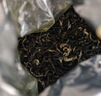 春伦茉莉甜毫福州茉莉花茶特级浓香型100g罐装2026新茶送礼茉莉花茶 实拍图