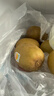 佳沛（zespri）新西兰 金果12粒特大果单果124-146g 端午节礼物水果礼盒 猕猴桃 实拍图