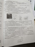 备考2027 恩波38套江苏全国高考模拟试卷汇编优化数学语文英语物理化学生物地理政治历史江苏28套 高中一二三轮总复习资料真题卷 【2027版】高考物理 模拟试卷优化28套 实拍图