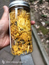 菊花茶金丝皇菊婺源徽州皇菊高山黄菊黄山菊花贡菊花茶 【1罐】 【头采金丝皇菊】 实拍图